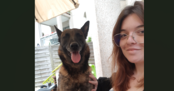 diane pet sitter à Rouen 76000_0