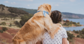 cassandra pet sitter à VEYRAC 87520_2