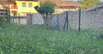 mélina pet sitter à ANNECY 74940_3