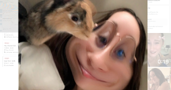 clara pet sitter à VAUREAL 95490_0