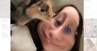 clara pet sitter à VAUREAL 95490