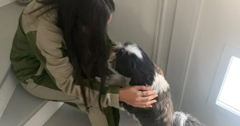 sirine pet sitter à SANTENY 94440_2