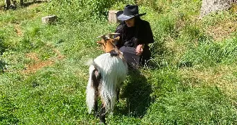 maelice pet sitter à LA PENNE SUR HUVEAUNE 13821