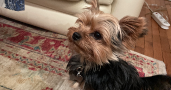 emma pet sitter à PARIS 16 75116_2