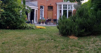 flavie pet sitter à ST ANDRE LEZ LILLE 59350_2