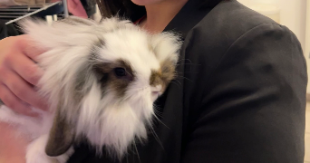 timéa dog sitter à BLET 18350_2