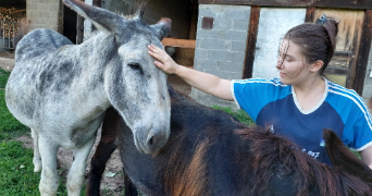 chloé pet sitter à LYON 03 69003_4