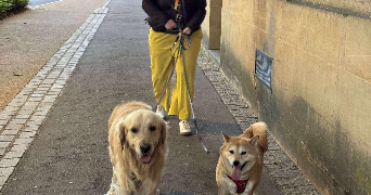 berenice pet sitter à METZ 57000_3