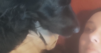 anais pet sitter à ST CHRISTOL LEZ ALES 30380_0