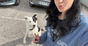 roxane pet sitter à MOURIES 13890_9