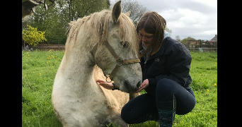 lénaïc pet sitter à VALENCIENNES 59300_1