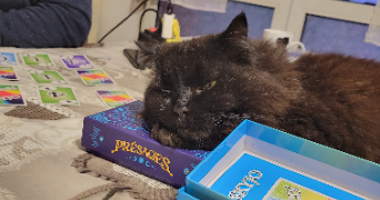 alicia pet sitter à VILLENEUVE D ASCQ 59650_2