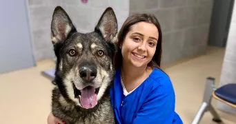 Trécy pet sitter à PUISEAUX 45390