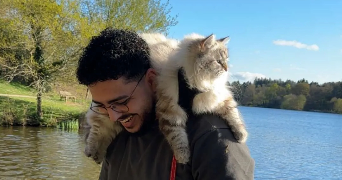 youcef cat sitter à NANTES 44300_0