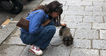 flore pet sitter à NEUILLY SUR SEINE 92200_8