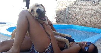 carolina pet sitter à CAMBRAI 59400_0