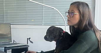 clementine pet sitter à CHILLY MAZARIN 91380_3