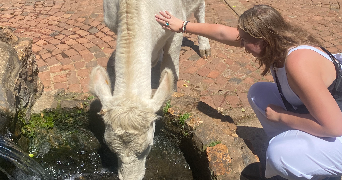 alyssa pet sitter à TOULOUSE 31000_0