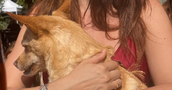 marie pet sitter à PARIS 19 75019_5