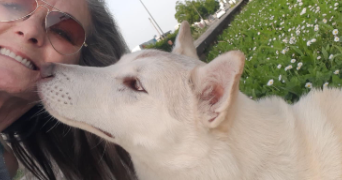 angela pet sitter à STRASBOURG 67200_4