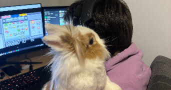 camille pet sitter à MAUREPAS 78310_2