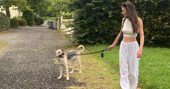 clara pet sitter à LA REGRIPPIERE 44330_1
