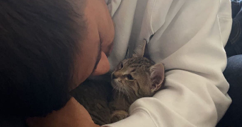 matteo pet sitter à PARIS 15 75015_2