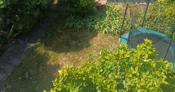 mélanie pet sitter à NICE 06200_3