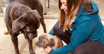 cyrielle pet sitter à LYON 04 69004_4