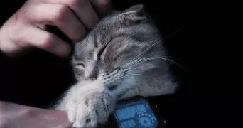 jean-claude pet sitter à MARSEILLE 08 13008