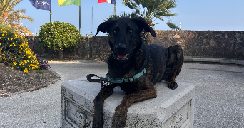 esther pet sitter à AURIBEAU SUR SIAGNE 06810_4