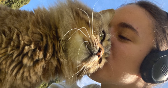 ambre pet sitter à MARSEILLE 12 13012_0
