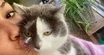 ameline pet sitter à Angers 49100_1