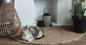 Émilie pet sitter à PIERRE BENITE 69310_4