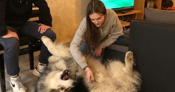 luna pet sitter à VILLEJUIF 94800_0