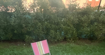 robine pet sitter à AUCAMVILLE 31140_1