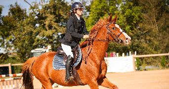 elodie pet sitter à OLEMPS 12510_0