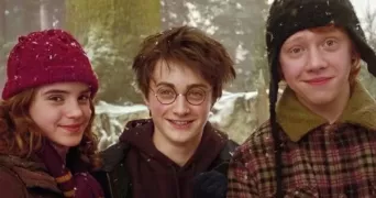 maeva pet sitter à LA CHAPELLE DE LA TOUR 38110