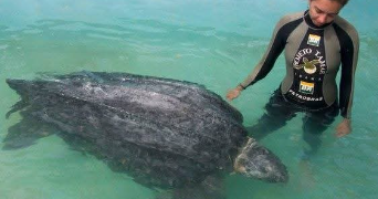 erika pet sitter à LA CIOTAT 13600_6