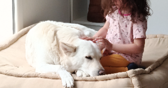 océane pet sitter à LABARTHE SUR LEZE 31860_5
