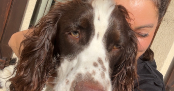 laura pet sitter à MEULERS 76510_2