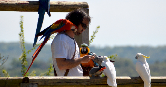 mathieu pet sitter à TROUILLAS 66300_0