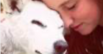 laure pet sitter à PARIS 18 75018_0