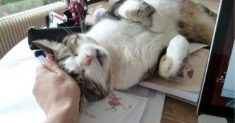 aude pet sitter à PARIS 06 75006_3