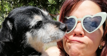 vanessa pet sitter à HOUILLES 78800_2