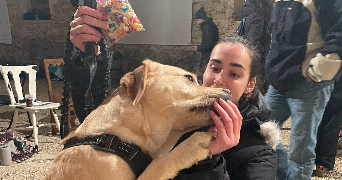 emilou pet sitter à COLONNE 39800_0