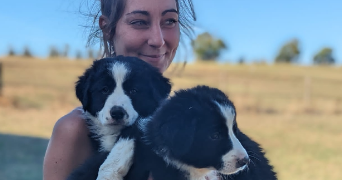 anthéa pet sitter à MARMANDE 47200_2