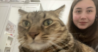 ysaure pet sitter à LYON 03 69003_3