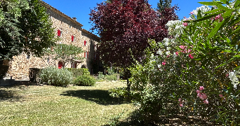 corinne pet sitter à Saint-Sébastien-d'Aigrefeuille 30140_2