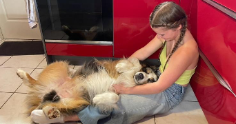 marilou pet sitter à MAUREPAS 78310_2